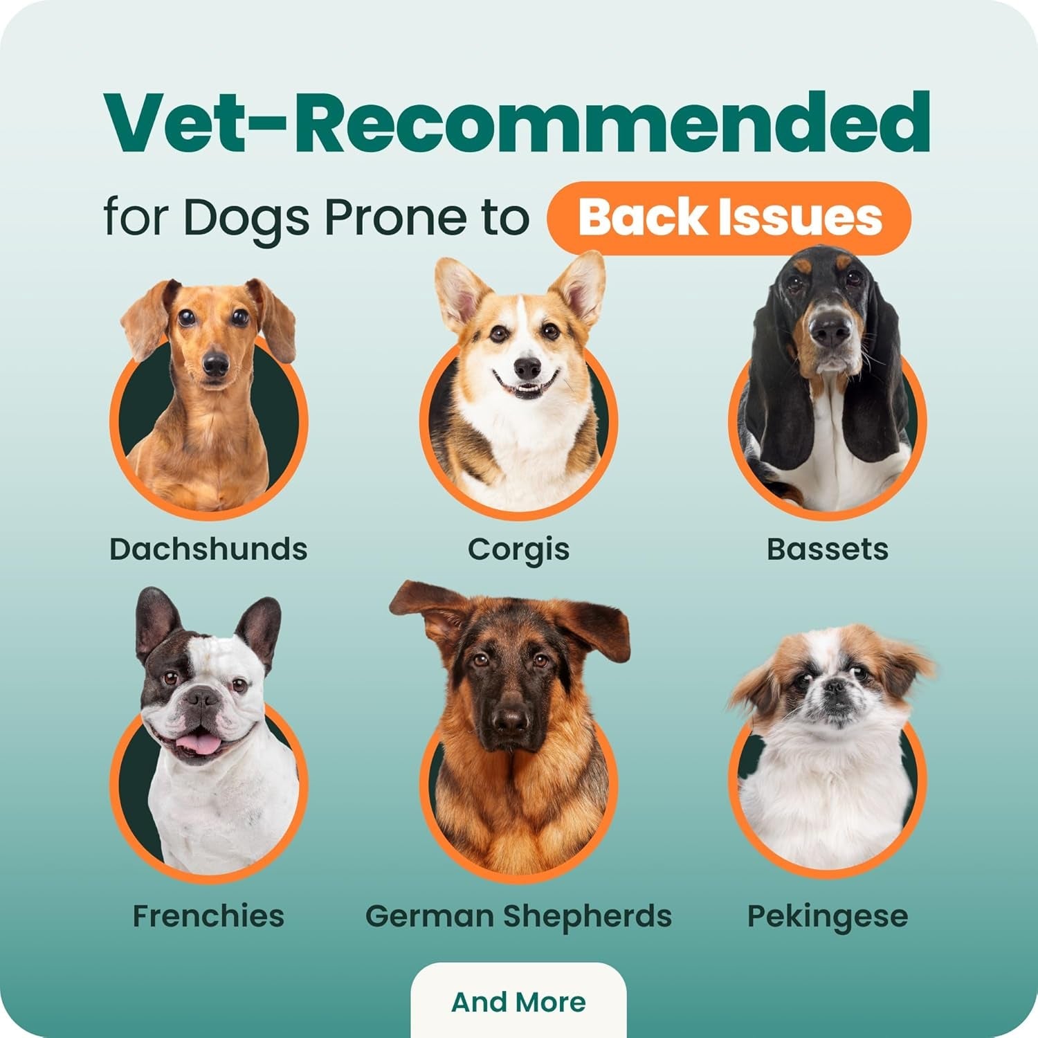 vetriscience-healthy-spine-disc-easy-open-capsules-back-and-spinal-support-chondroitin-and-taurine-supplement-for-dogs-perfect-for-dachshunds-corgis-frenchies-basset-hounds-more-180-count