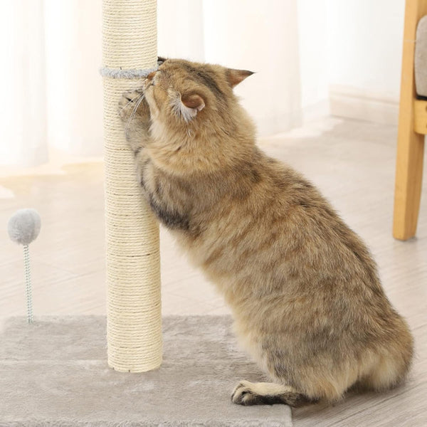 10" Cat Scratching Replacement Posts Sisal Spare Scratcher Refill Post for Cats Cube Tower Kittens Scratch Pole Perch Interactive Toys Furniture Accessories Tree 2 Pack Include M8 Screws White5