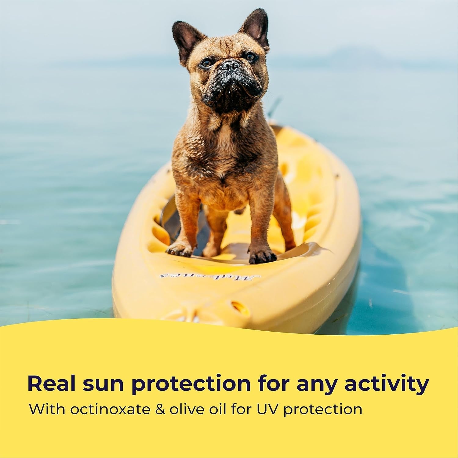 gentle-creatures-pet-sun-protector-dog-sunscreen-spf-30-eq-skin-moisturizing-vitamin-e-olive-oil-no-zinc-oxide-safe-for-dogs-and-cats-dog-beach-camping-accessories-sunscreen-for-white-dogs