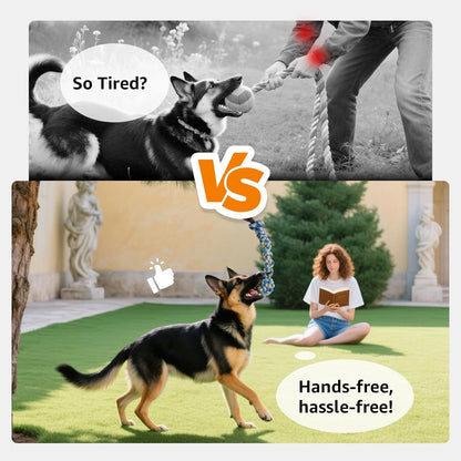 LOOBANI Outdoor Bungee Tug Toy, Interactive Tree Hanging Dog Toys, Black | Durable, Tug of War, Exercise Play Cord & Tether, Chew Rope Toy, Muscle Building & Bite Training, for Small to Large Dogs6