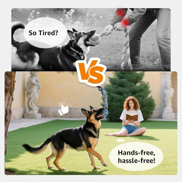 LOOBANI Outdoor Bungee Tug Toy, Interactive Tree Hanging Dog Toys, Black | Durable, Tug of War, Exercise Play Cord & Tether, Chew Rope Toy, Muscle Building & Bite Training, for Small to Large Dogs6