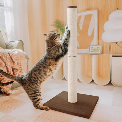 Necoichi 23.6” Tall Cat Scratching Post Kitten Scratcher Paper Rope Scratch Posts Trees with Hanging for Indoor Cats (23.6 Inches for Kitty, Regular, Oak)11
