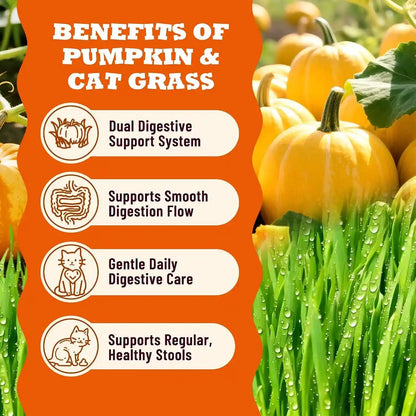 Lickable Cat Treats with Lick-Up Spoons, Healthy Wet Cat Snacks for Digestive Support, Grain-Free Kitten Treats with Taurine & Vitamins, Cat Grass & Pumpkin Variety Pack (32 Spoons)6