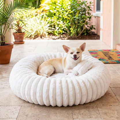 Donut Pet Bed for Indoor Cats and Small Dogs, Self-Heating Dog Bed with Non-Slip Bottom, Winter Comfort Dog Beds for Puppies, Washable & Portable Egg Tart Shape (S) Small Cat Bed Self Warming8