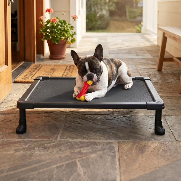 Veehoo Elevated Dog Bed Small, Chew Proof Dog Bed Pre-Assembled, 24" X 17" | Cooling Raised Dog Bed, Indestructible Dog Bed for Crate, Non-Slip Feet, Breathbale Teslin Mesh, Indoor Outdoor Use, Black7