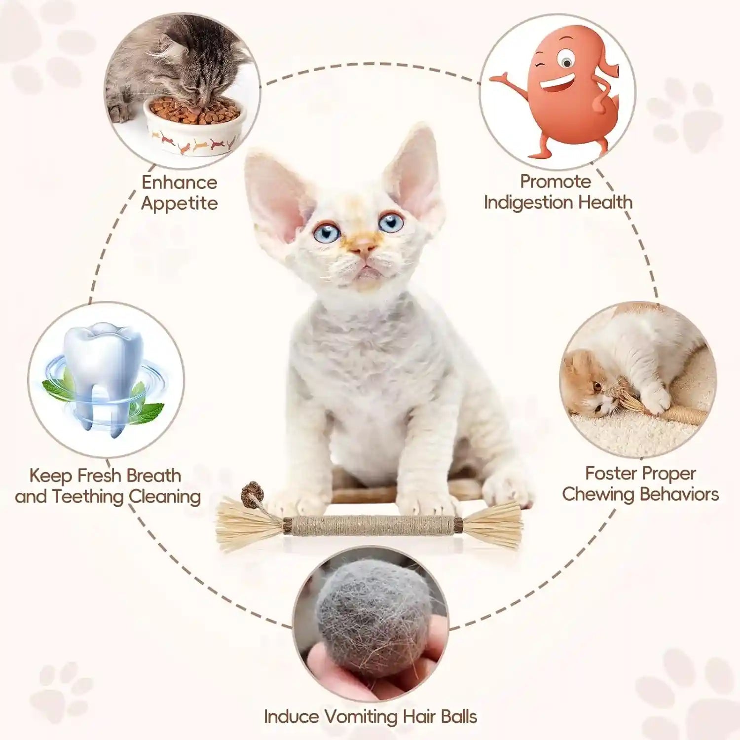 5-pack-silvervine-sticks-cat-toys-natural-chew-kitten-teething-toys-for-cleaning-matatabi-catnip-treat-toys-catmint-silver-vine-sticks-for-bored-indoor-kitty