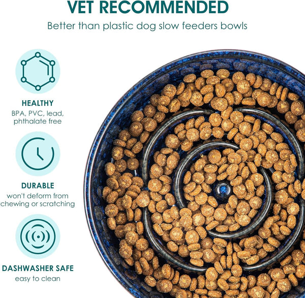 Vancasso Slow Feeder Dog Bowl, 0.6 Cups Ceramic Dog Food Dish for Fast Eaters Small Breed, Puzzle Bowl for Small Dogs and Cats, Blue3