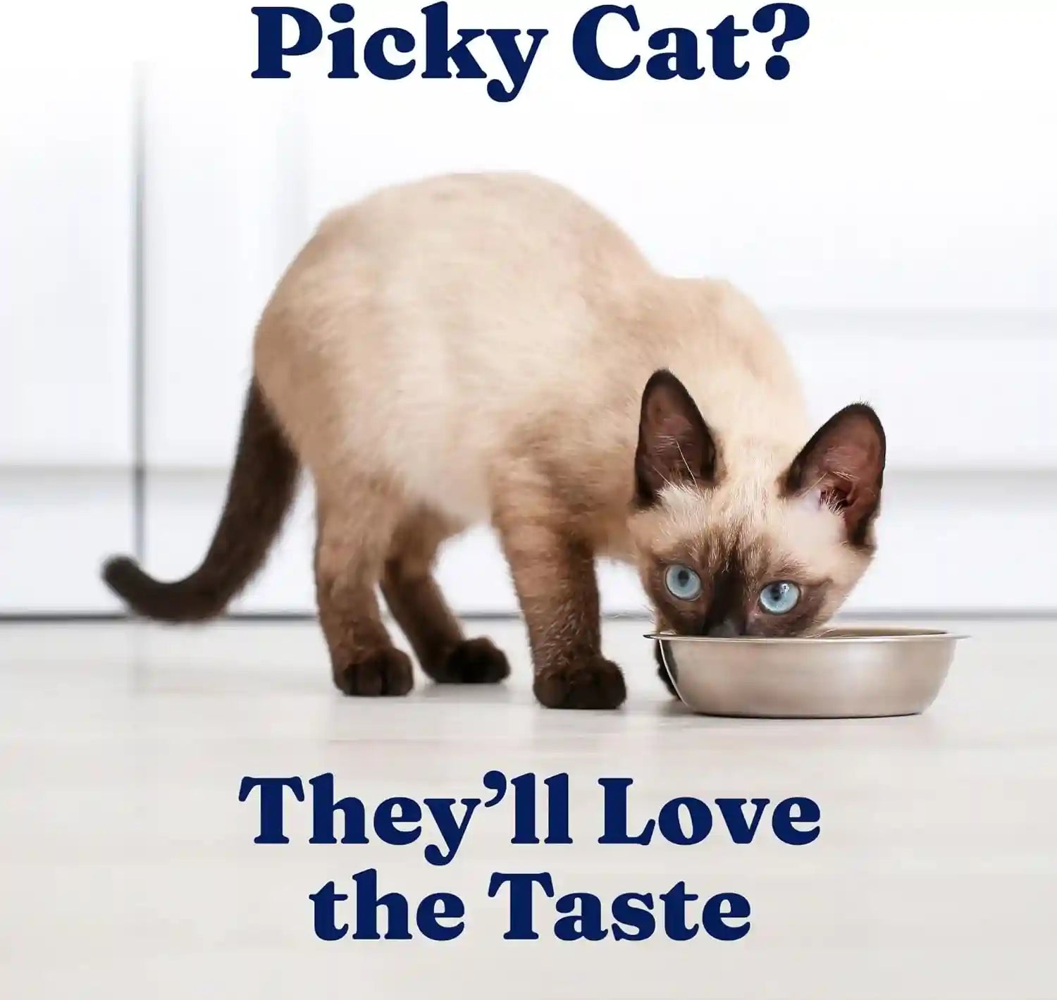 solid-gold-wet-cat-food-pate-for-indoor-cats-healthy-canned-cat-food-pate-w-real-chicken-omega-fatty-acids-vitamins-minerals-grain-free-gluten-free-can-meals-for-cats-kittens-24ct-3oz