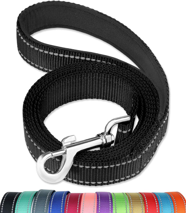 Funtags Reflective Nylon Dog Leash for Medium & Large Dogs, 6FT for Walks | Comfortable Padded Grip, Stay Safe at Night, 360° Anti-Tangle Swivel, for Dog Parks & Trails, Black1