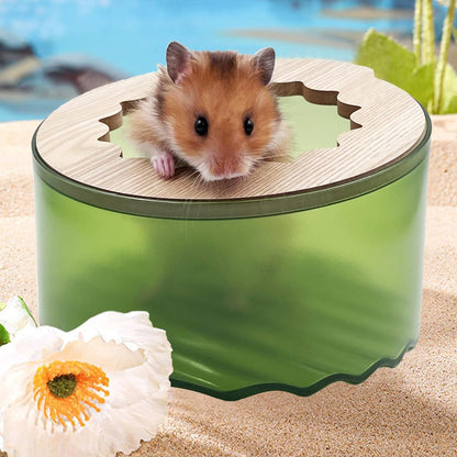 Hamster Sand Bath Box, Small Animal Bathroom & Digging Room, Easy to Clean, for Dwarf & Syrian Hamster, Gerbil7