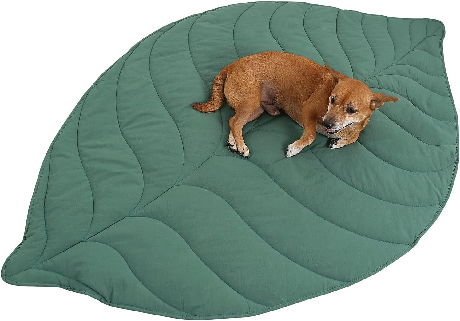 56x42-inch-leaf-shaped-cotton-dog-blanket-extra-large-pet-blanket-for-small-medium-large-dogs-machine-washable-puppy-mat-for-couch-protection-soft-plush-dog-bed-for-furniture-sofa-floor
