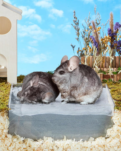 Chinchilla Dust Bath - Gentle Powder for Hamsters & Gerbils, 18Oz | Natural Sand Bath for Healthy Fur. Safe for Chinchillas, Hamsters, Gerbils & Small Pets. Gentle, Premium Dusting Powder.8