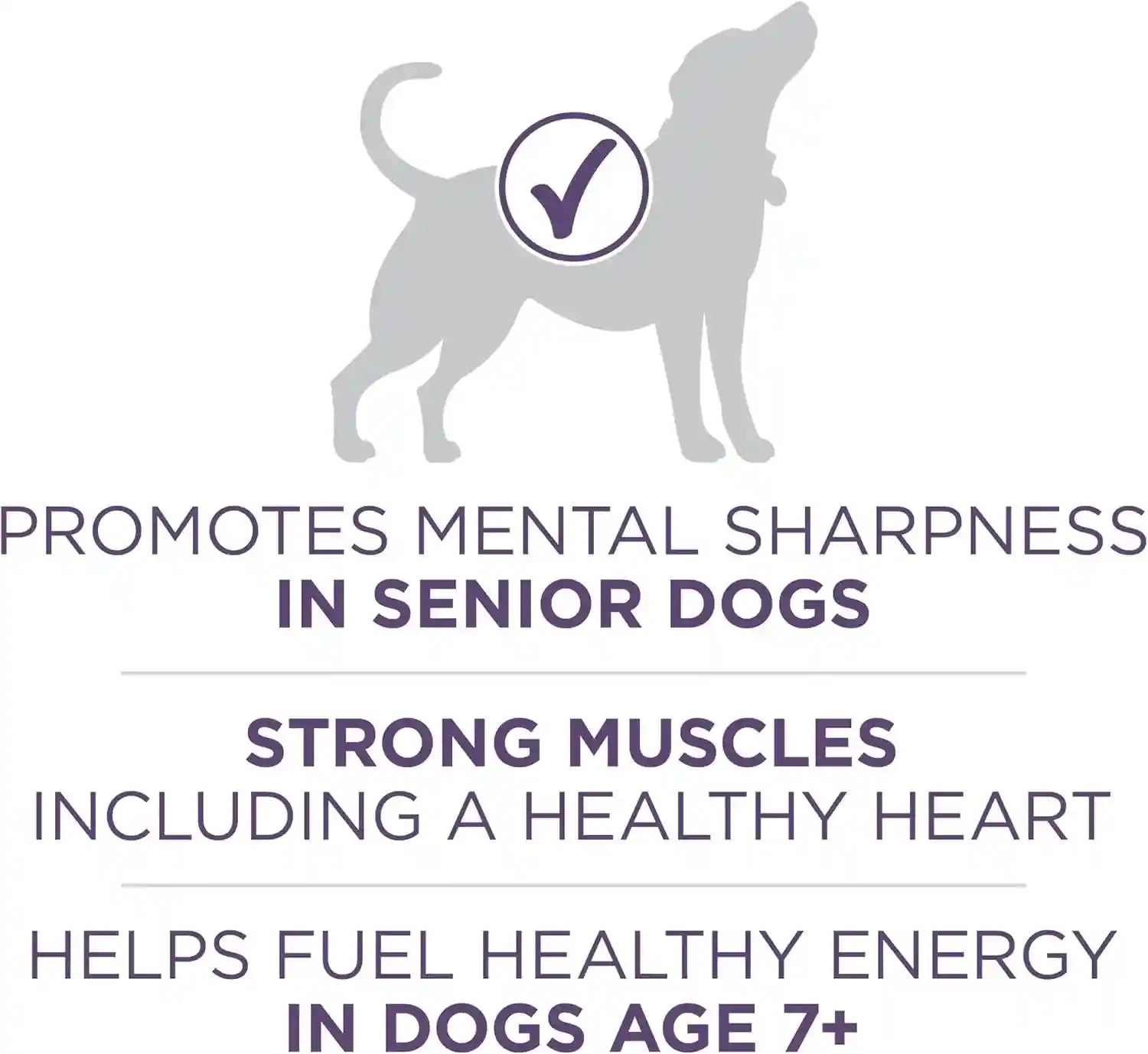 purina-one-high-protein-dry-senior-dog-food-plus-vibrant-maturity-adult-7-plus-formula-8-lb-bag