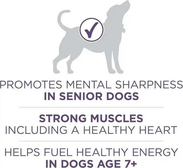 Purina ONE High Protein Dry Senior Dog Food plus Vibrant Maturity Adult 7 plus Formula - 8 Lb. Bag4