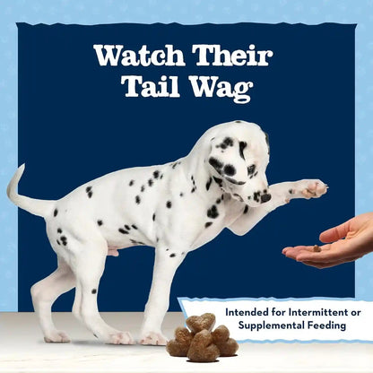 Blue Buffalo Baby Blue Training Treats Natural Puppy Soft Dog Treats, Savory Chicken 4-Oz Bag8