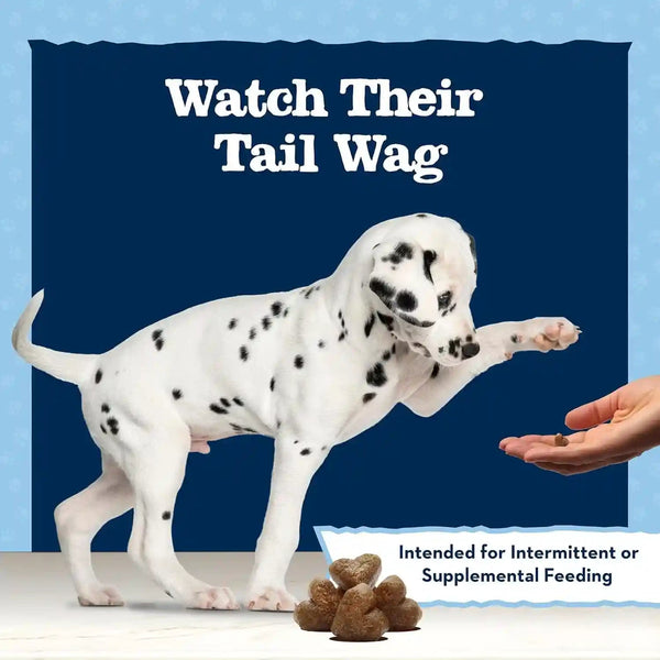 Blue Buffalo Baby Blue Training Treats Natural Puppy Soft Dog Treats, Savory Chicken 4-Oz Bag8