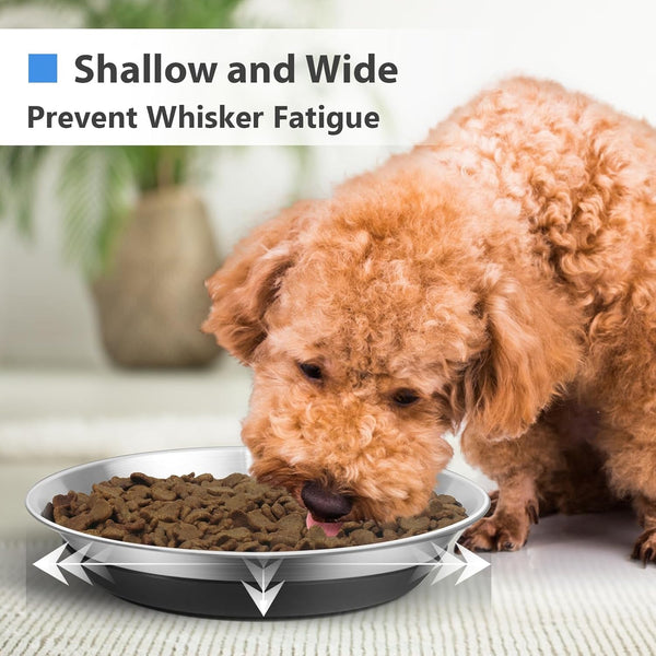 2 Packs Premium Stainless Steel Dog Bowls - Non-Slip, 2.5 Cups Capacity, Durable and Safe for Your Beloved Pet4