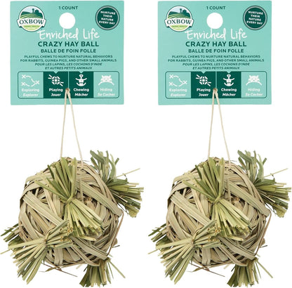 Oxbow Crazy Hay Ball, Rabbit & Guinea Pig Toys, Bunny Enrichment Toys | Rabbit Chew Toys, Guinea Pig Enrichment, Guinea Pig Chew Toys, Rabbit Enrichment, Timothy Hay, Small Pet Accessories9