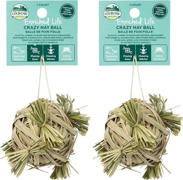 Oxbow Crazy Hay Ball, Rabbit & Guinea Pig Toys, Bunny Enrichment Toys | Rabbit Chew Toys, Guinea Pig Enrichment, Guinea Pig Chew Toys, Rabbit Enrichment, Timothy Hay, Small Pet Accessories9