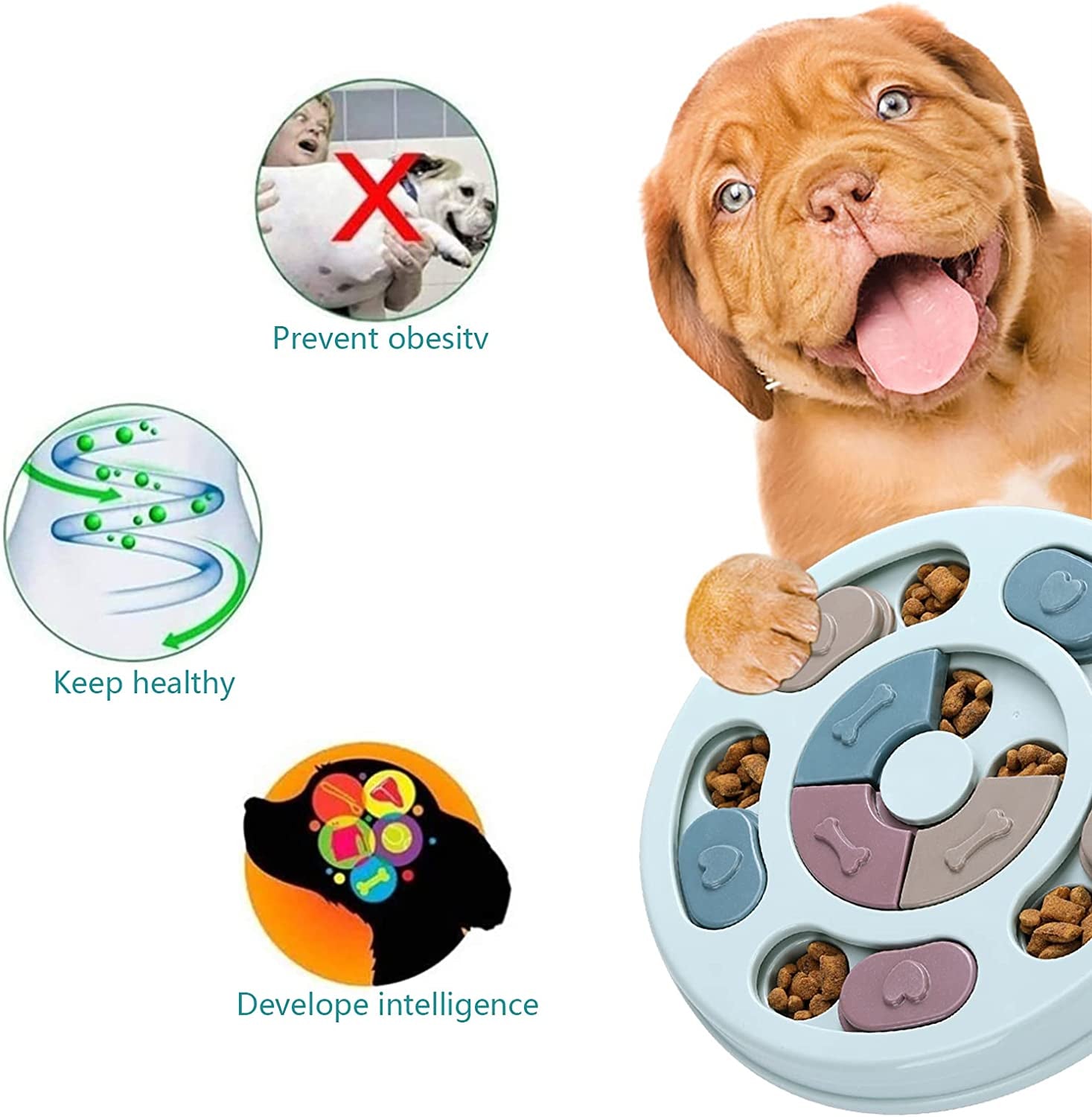dr-catch-dog-puzzle-dogs-food-toys-for-iq-training-mental-enrichment-dog-treat-puzzleblue