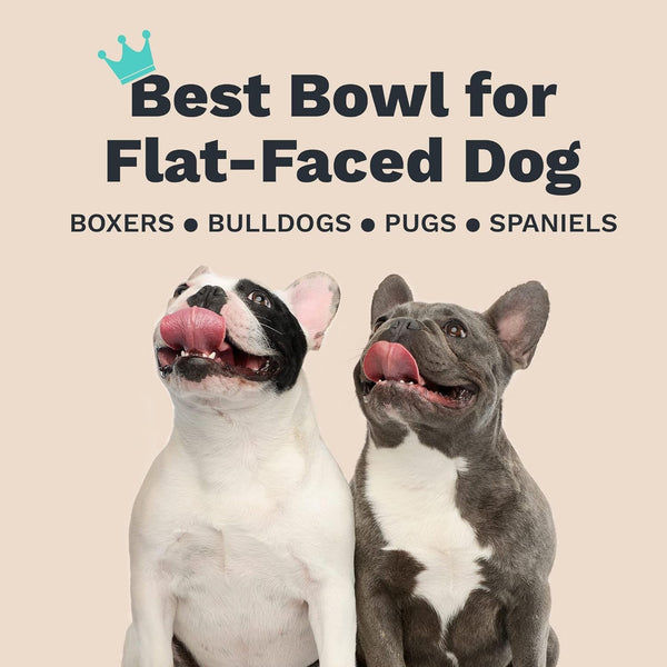 Enhanced Pet Bowl, Stainless Steel Slanted Dog Bowl with Raised Ridge for Flat-Faced Dog Breeds or Cats, Food-Grade Non-Slip No Spill Bowl for Dogs, Less Mess, Less Gas, and Better Digestion (Small)6