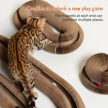 Cusierymax Cat Ball Adventure the Ultimate Interactive Mental & Physical Exercise for Indoor Cats2