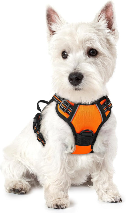 Rabbitgoo Dog Harness, No Pull for Large Dogs with 2 Leash Clips, Pet Vest | No Choke with Handle, Adjustable Soft Padded, Reflective, Easy Control for Walking, Black, Large65