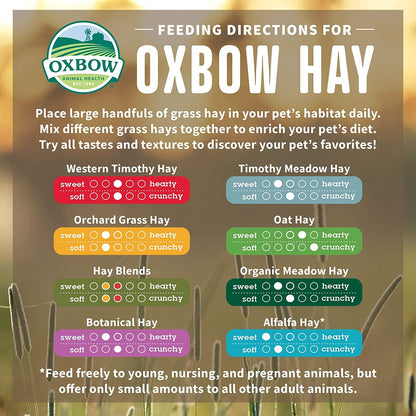 Oxbow Hay Blends, Western Timothy Hay & Orchard Grass, Guinea Pig Food, Small Pet Bunny Supplies, All Natural Grass for Guinea Pig & Rabbit, Oxbow Rabbit Supplies for Bunnies, 90 Oz. Bag | Oxbow Timothy Hay, Bunny Hay for Rabbits, Guinea Pigs, Bunnies and Chinchillas, Hand-Sorted, De-Dusted, High Fiber5