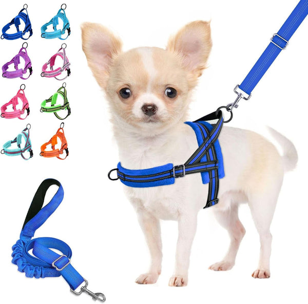 Lukovee No Pull Dog Harness and Leash Set, Soft Padded Small Dog Harness, Neck & Chest Adjustable Reflective Vest Puppy Harness with 4Ft Lightweight Anti-Twist Dog Leash for Small Dogs (XS, Blue)1