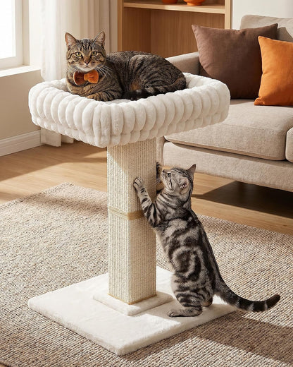 Morden Cat Scratching Post with Top Plush Bed for Indoor Cats | Removable & Washable Perch, Small Morden Cat Tree, Cat Tower with Scratch Post, Natural Sisal, White8