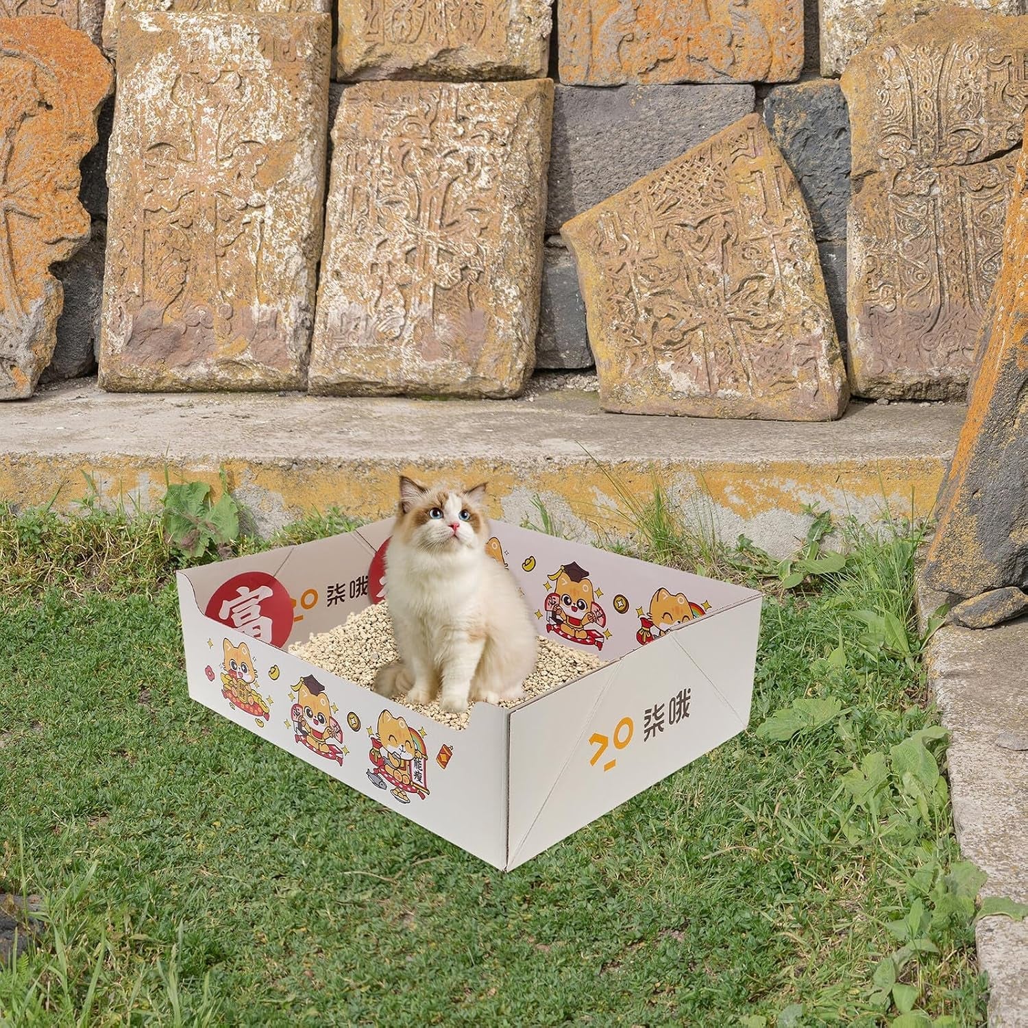 portable-collapsible-cat-litter-box-foldable-disposable-fiber-litter-tray-38x29x12cm-travel-friendly-indoor-outdoor-kitten-potty-for-pet-cleaning-and-housebreaking