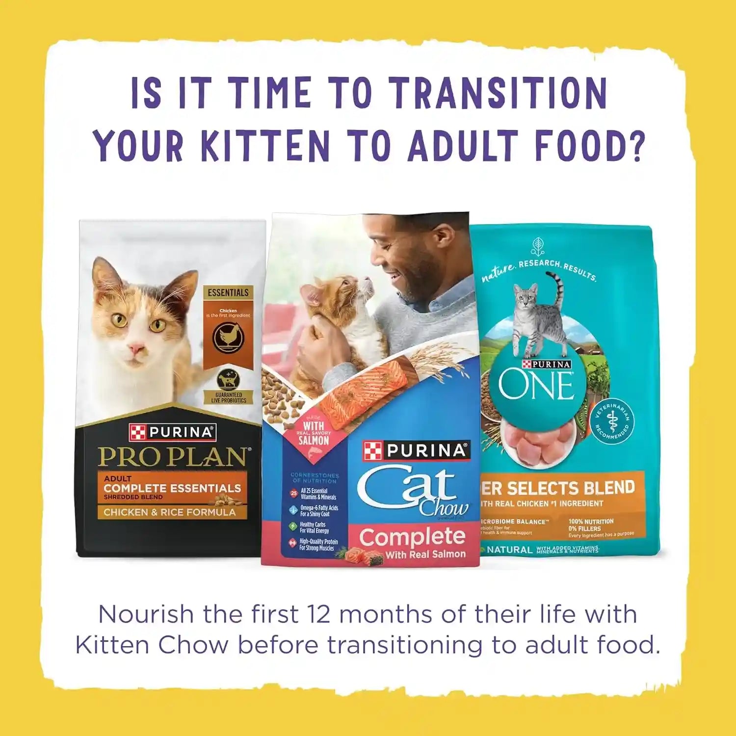 purina-kitten-chow-year-one-essentials-with-real-chicken-high-protein-complete-and-balanced-dry-kitten-food-with-essential-nutrients-14-lb-bag
