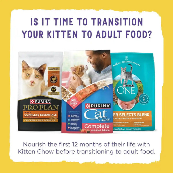 Purina Kitten Chow Year One Essentials with Real Chicken High-Protein Complete and Balanced Dry Kitten Food with Essential Nutrients - 14 Lb. Bag14