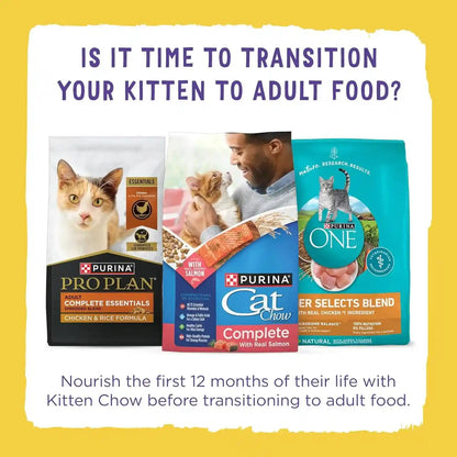 Purina Kitten Chow Year One Essentials with Real Chicken High-Protein Complete and Balanced Dry Kitten Food with Essential Nutrients - 14 Lb. Bag14