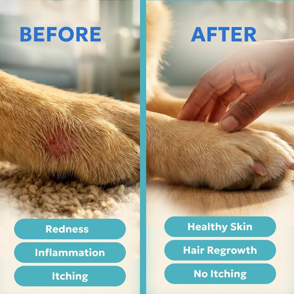 Blue Butter – Hot Spot Treatment for Dogs Cats | Dog Cat Wound Care | Skin Yeast Infections, Ringworm, Cuts, Rashes, First Aid Veterinary Strength anti Itch Cream 4Oz6