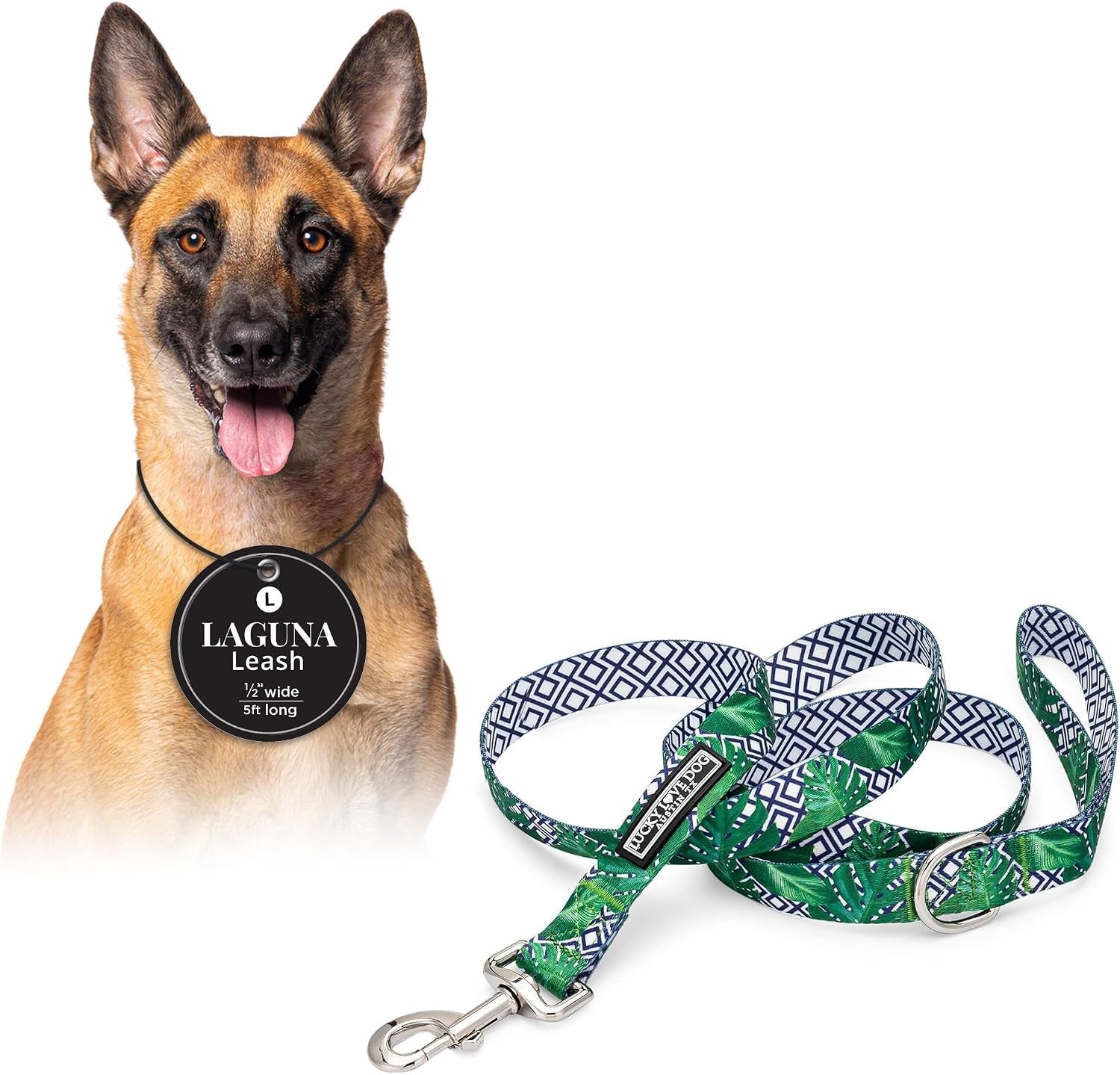 lucky-love-dog-leash-beautiful-vivid-patterns-durable-long-lasting-blackbird-large