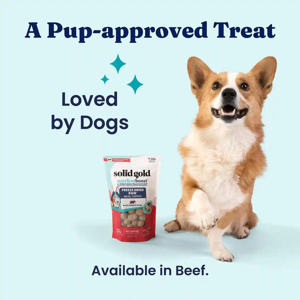 Solid Gold Freeze Dried Dog Food - W/Real Beef, Pumpkin & Superfoods - Freeze Dried Raw Dog Food Toppers for Picky Eaters to Serve as a Nutrient-Dense Meal Topper or High Protein Treats - 1.5Oz7