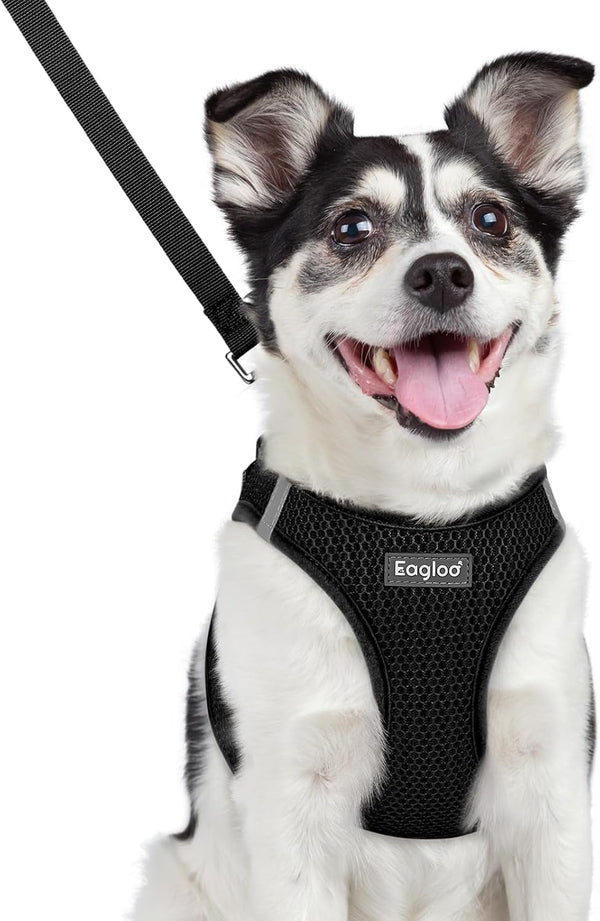 Eagloo Small Dog Harness and Leash Set, Step in Small Sized Puppy Pet Vest | Light, Soft, Breathable Air Mesh, Easy on and off with Hook & Loop, Reflective for Safe Walking, Pink, S26