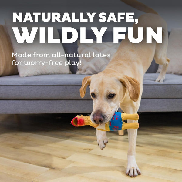 Outward Hound by Charming Pet Squawkers Earl Latex Squeaky Rubber Chicken Dog Toy, Funny Interactive Holiday Toy for Dogs, Large Size4