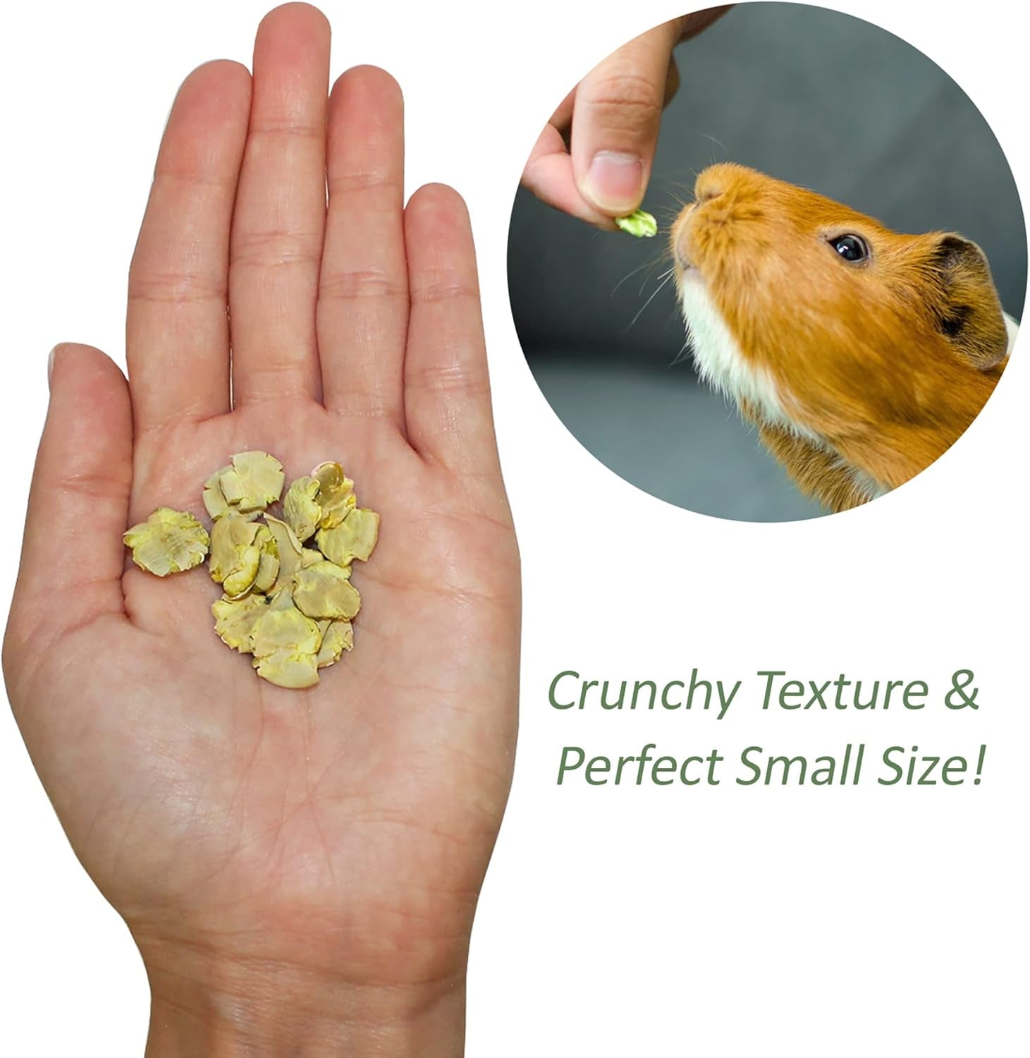 exotic-nutrition-green-pea-flakes-3oz-healthy-unique-treat-rat-degu-prairie-dog-chinchilla-hedgehog-parrot-guinea-pig-rabbit-hamster