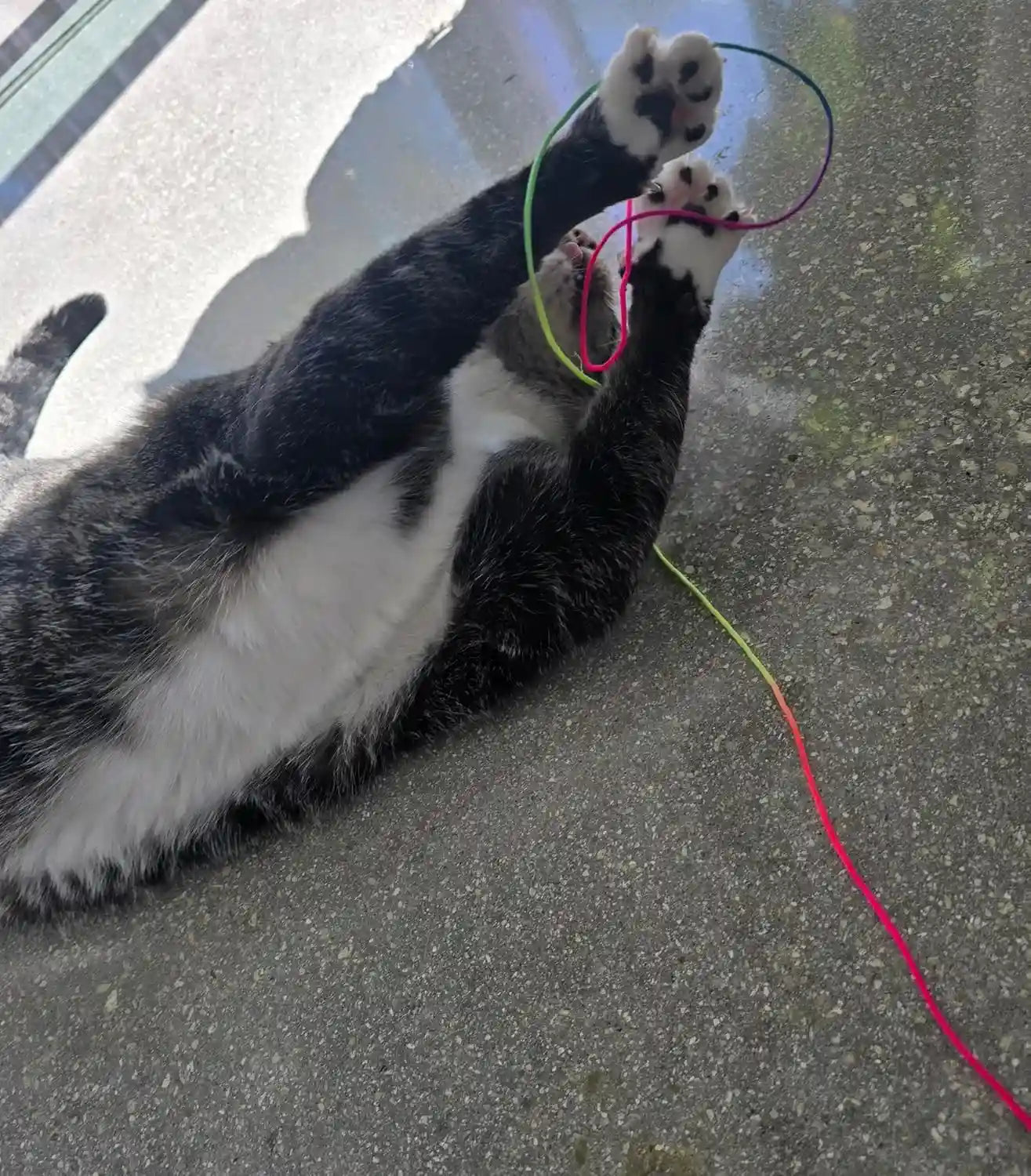 cat-wand-toy-for-indoor-cats-105-extra-long-magical-cat-teaser-wand-interactive-cat-toy-with-durable-nylon-string-elastic-wand-for-exercise-enrichment-kittens-to-senior-cats