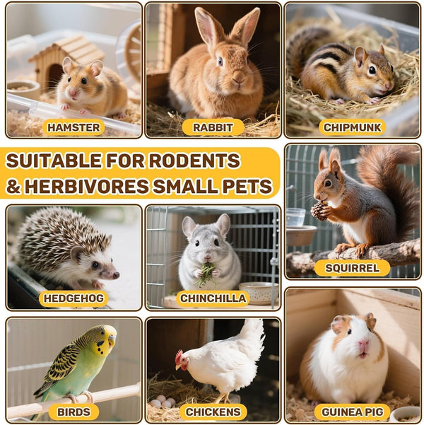 Sukh 5.64Oz Natural Botanical Rabbit Treats for Guinea Pig & Hamster | 160G Healthy Natural Mixed Freeze Dried Vegetable,Flower & Fruit Hamster Treat for Bunny,Guinea Pig,Hamster,Chinchilla,Gerbil4