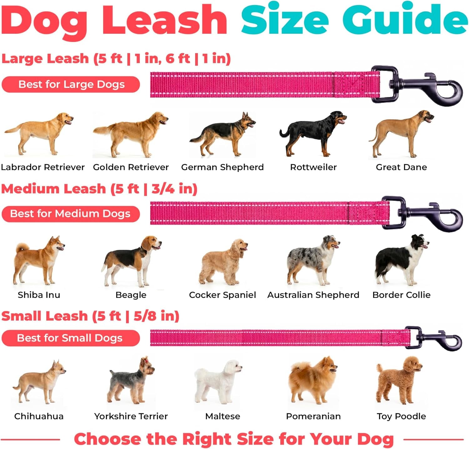 best-pet-supplies-voyager-nylon-dog-leash-fuchsia-small-5ft-in-length-5-8-in-width-reflective-soft-neoprene-handle-heavy-duty-metal-clips-for-running-walking-training