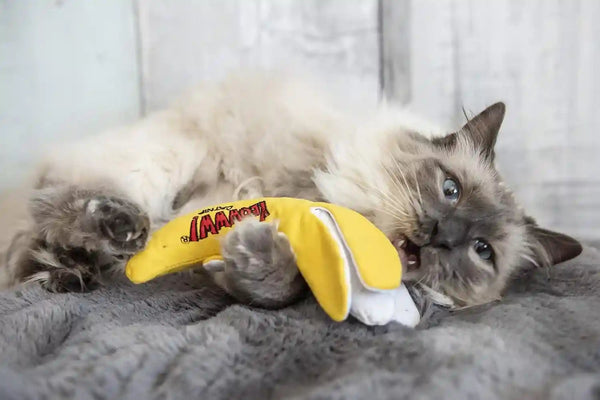 Yeowww!, Chi-Cat-A Catnip Peeled Banana Cat Toy4