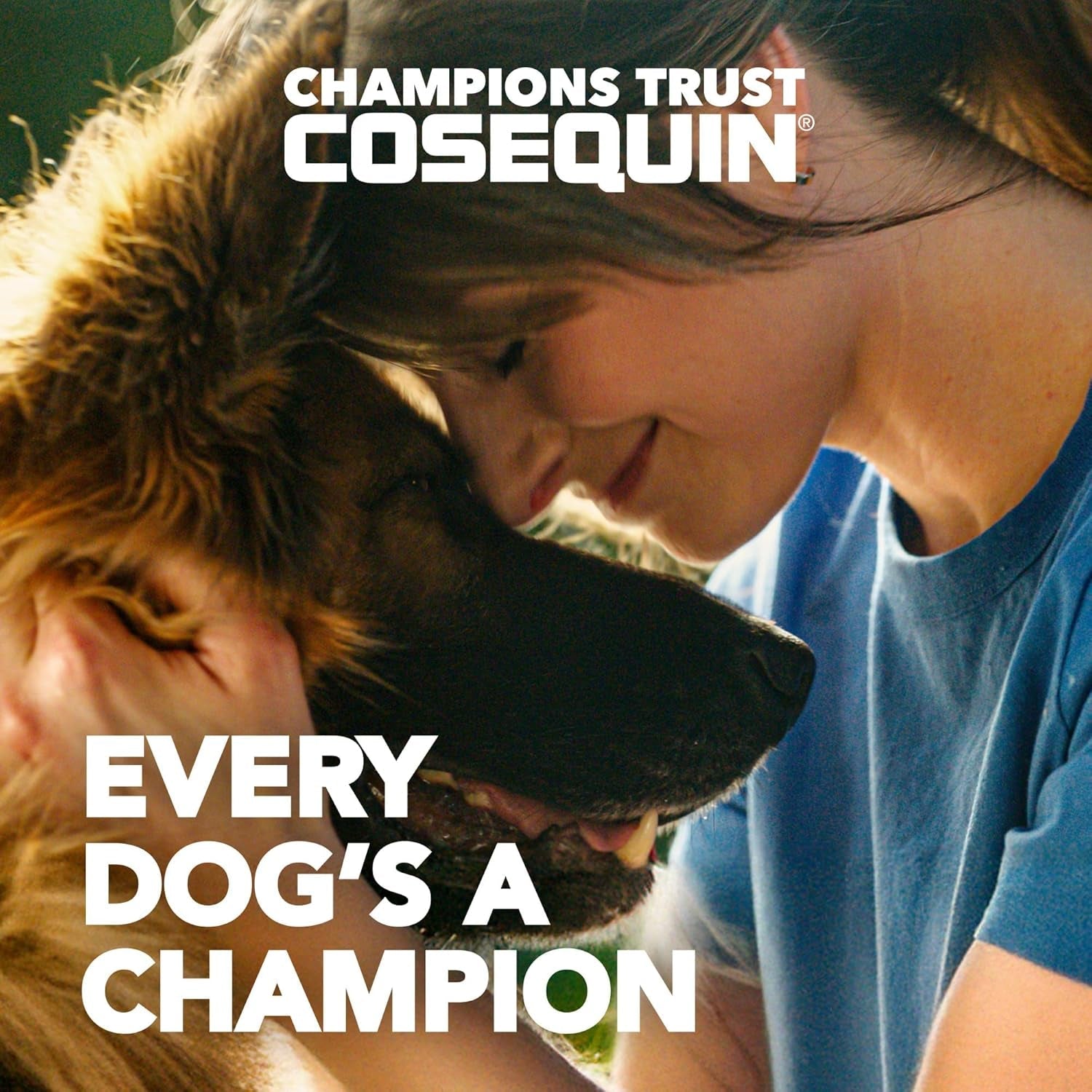 nutramax-cosequin-small-dog-joint-supplement-soft-chews-45ct-joint-support-soft-chews-for-small-dogs-with-glucosamine-and-chondroitin-boswellia-all-ages