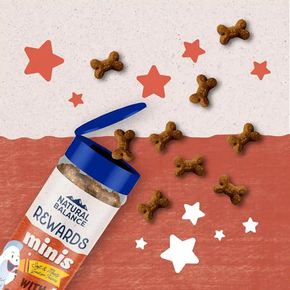 Natural Balance Limited Ingredient Mini-Rewards Salmon Grain-Free Dog Training Treats for Dogs | 5.3 Ounce Canister3