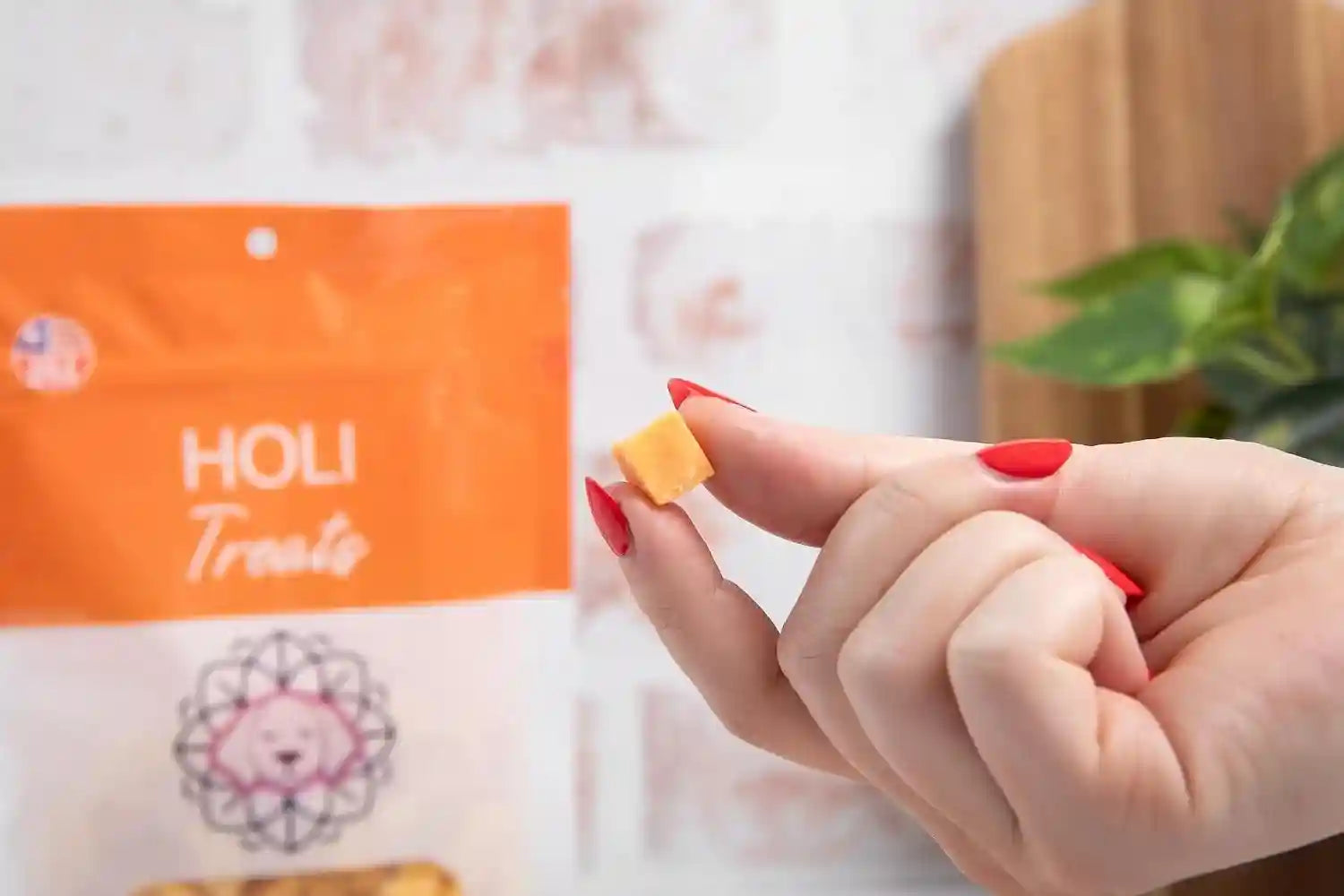holi-freeze-dried-cheddar-cheese-dog-treats-100-all-natural-human-grade-single-ingredient-lactose-free-grain-free-gluten-free-soy-free-5-ounce