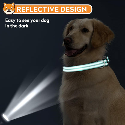 Reflective Dog Collar, Adjustable Soft Neoprene Padded,Teal,M | Breathable Nylon for Medium Dogs,Tear-Resistant Webbing,Chafe‑Free on Walks and Hikes,Metal D-Ring,Night Safety6