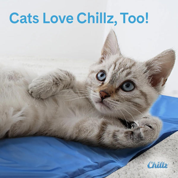 The Green Pet Shop Chillz Gel Mat, Large - Pressure-Activated Cooling Pad for Pets 25-50 Lbs - Non-Toxic, No Water or Refrigeration Needed - Ideal for Home, Travel & Crates6