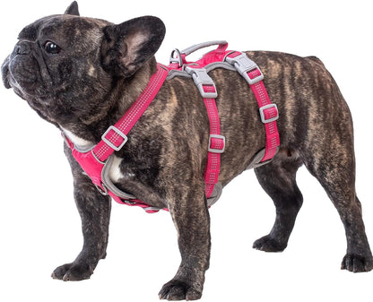 Huntboo Escape Proof Dog Harness, Escape Artist Harness, Reflective Harness with Padded Handle, Breathable, Durable, Adjustable Vest for Medium Dogs Walking, Training, and Running Gear (Blue, M)9